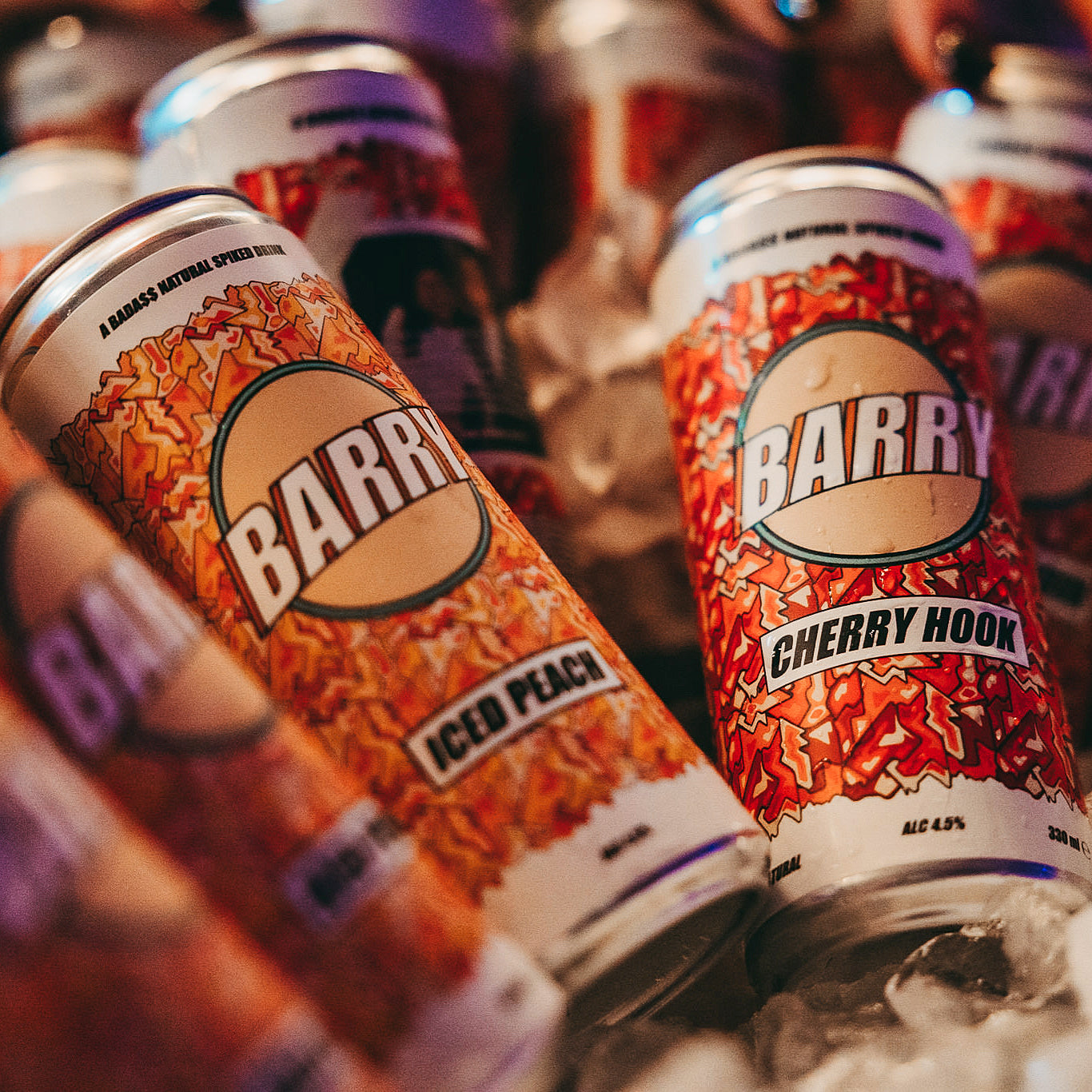 VARIETY 12 PACK